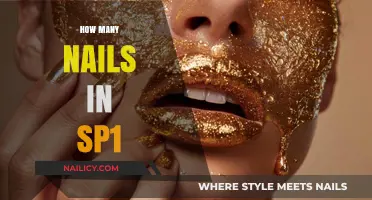 Understanding Nail Count in SP1: A Comprehensive Guide