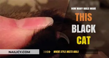 Creating a Unique Black Cat with Nails