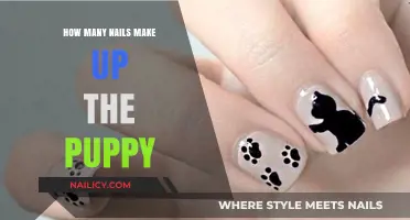 Crafting a Puppy: Nails, Precision, and Artistry