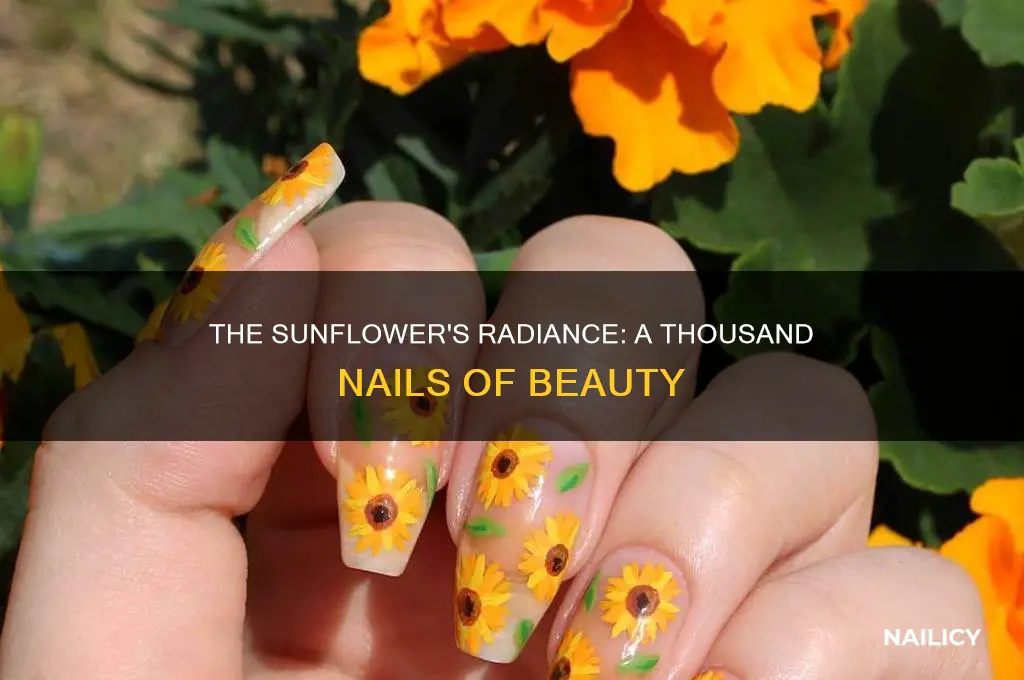 how many nails make up the sunflower