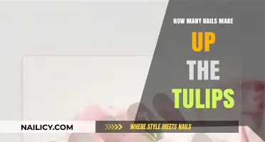 The Intricate Beauty of Tulip Nails: How Many Are There?