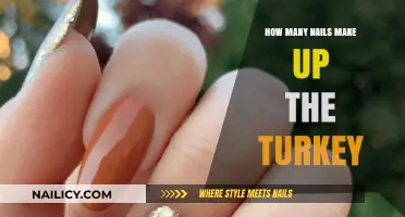 Nails that Create the Turkey Masterpiece