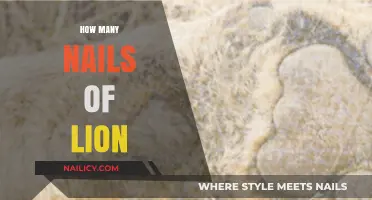 Unveiling the Surprising Truth About a Lion's Nail Count