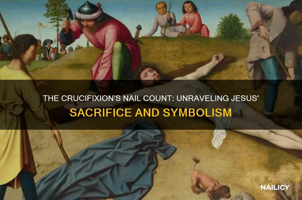how many nails pierced jesus