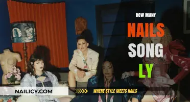 Exploring the Lyrics of 'How Many Nails' and Its Meaning