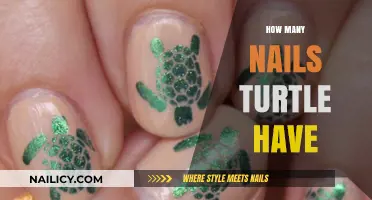 Unveiling the Truth: How Many Nails Do Turtles Actually Have?