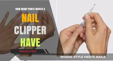 Exploring the Surprising Complexity of a Nail Clipper's Components