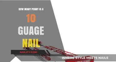 Penny Nail Weight: Understanding the Value of a 10 Gauge Nail
