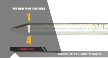 Roofing Essentials: Calculating 1-1/4 Inch Nail Pounds for Your Project
