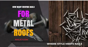 Essential Guide to Roofing Nails for Metal Roof Installations