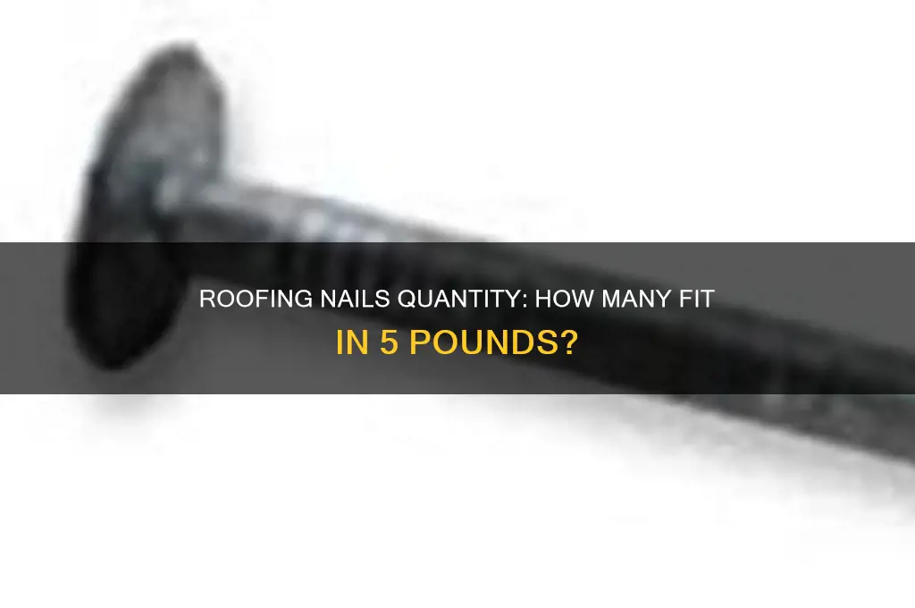 how many roofing nails in 5 lbs