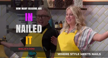 Nailed It! Series Overview: Total Seasons and Baking Blunders
