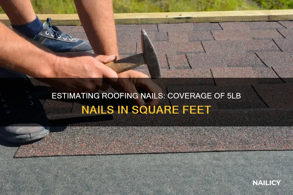 how many square feet 5lb roofing nails