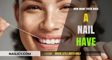 Exploring the Myth: Do Nails Really Have Teeth?