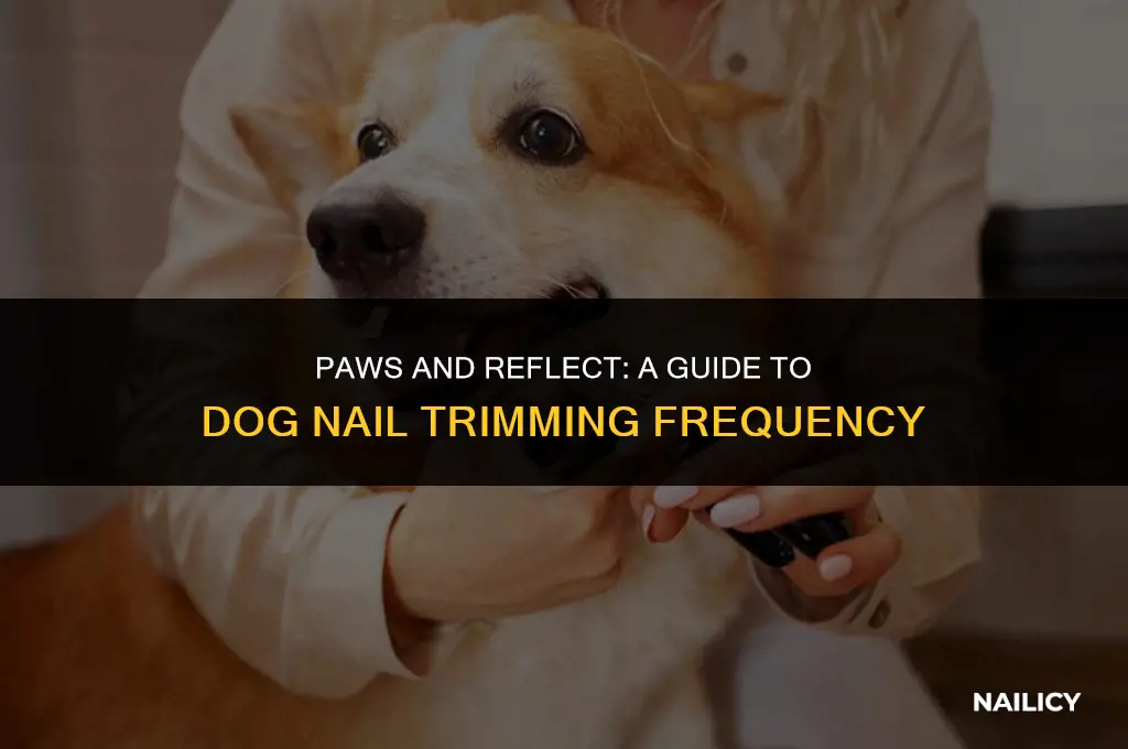 how many times should you get your dogs nails clipped