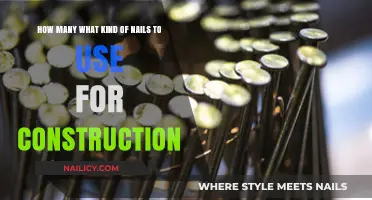 Choosing the Right Nails for Your Construction Project: A Guide