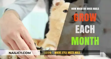 Dog Nail Growth: Monthly Trimming and Care