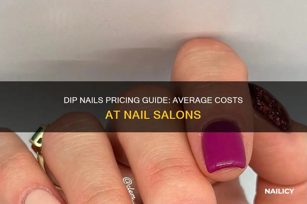 how much a nail salon charges for dip nails
