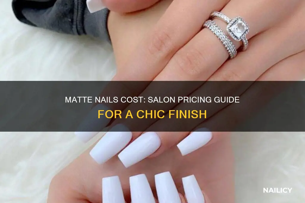 how much are matte nails at a salon