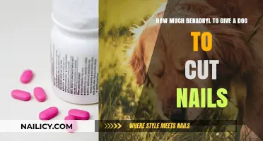 Benadryl Dosage for Dogs: Nail Trimming Solution