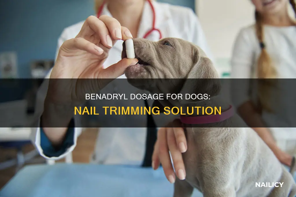 how much benadryl to give a dog to cut nails