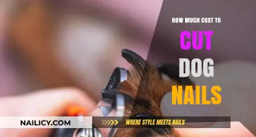 Trimming Dog Nails: What's the Cost?