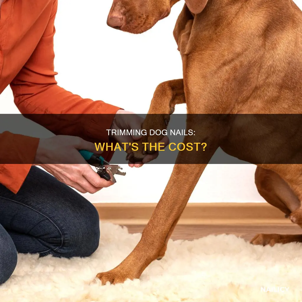 how much cost to cut dog nails