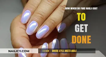 Exploring the Price Range for Professional Fake Nail Services
