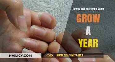 Finger Nails: How Long Do They Grow Yearly?