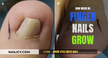 Unraveling the Mystery: How Fast Do Fingernails Grow?