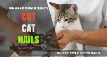 Cat Nail Trimming: Grooming Costs and Convenience