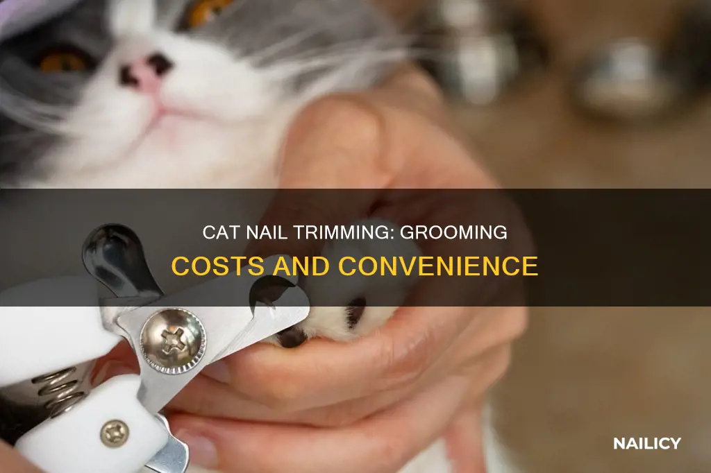 how much do groomers charge to cut cat nails