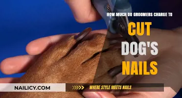 Grooming Costs: Trimming Your Dog's Nails