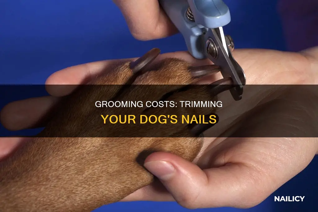 how much do groomers charge to cut dog