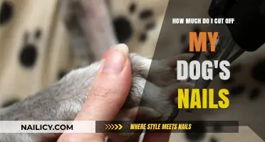 Trimming Dog Nails: How Short is Too Short?
