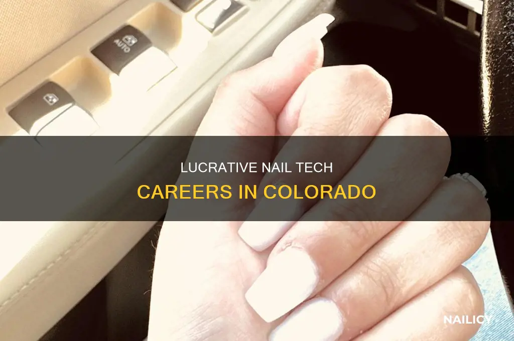 how much do nail techs make in colorado