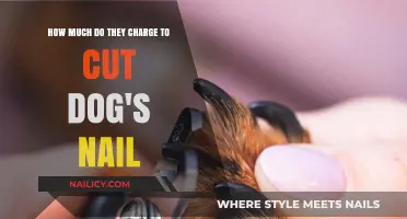 Trimming Dog Nails: What's the Cost?