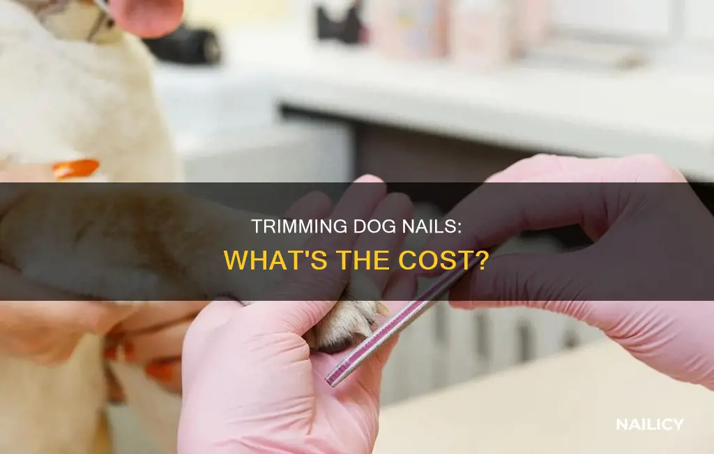 how much do they charge to cut dog