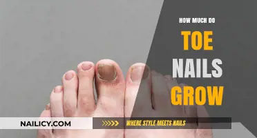 Toe Nails: How Long Do They Grow?