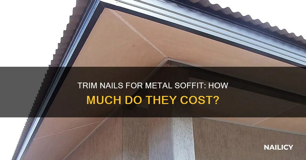 how much do trim nails cost for metal soffit
