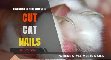 Cat Nail Trimming: Vets' Service Charges