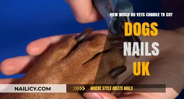 Vet Nail Clipping Costs for Dogs in the UK