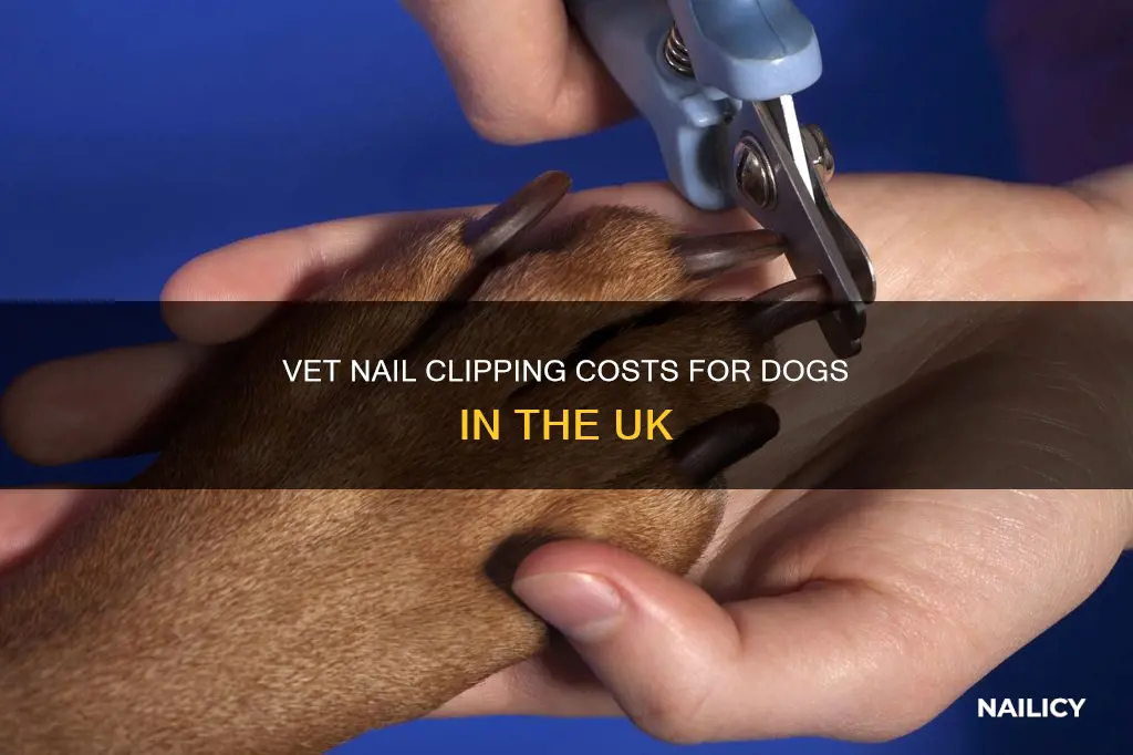 how much do vets charge to cut dogs nails uk