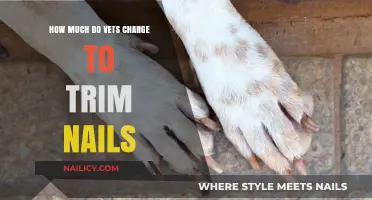 Trimming Nails: Vets' Service Charges Explained
