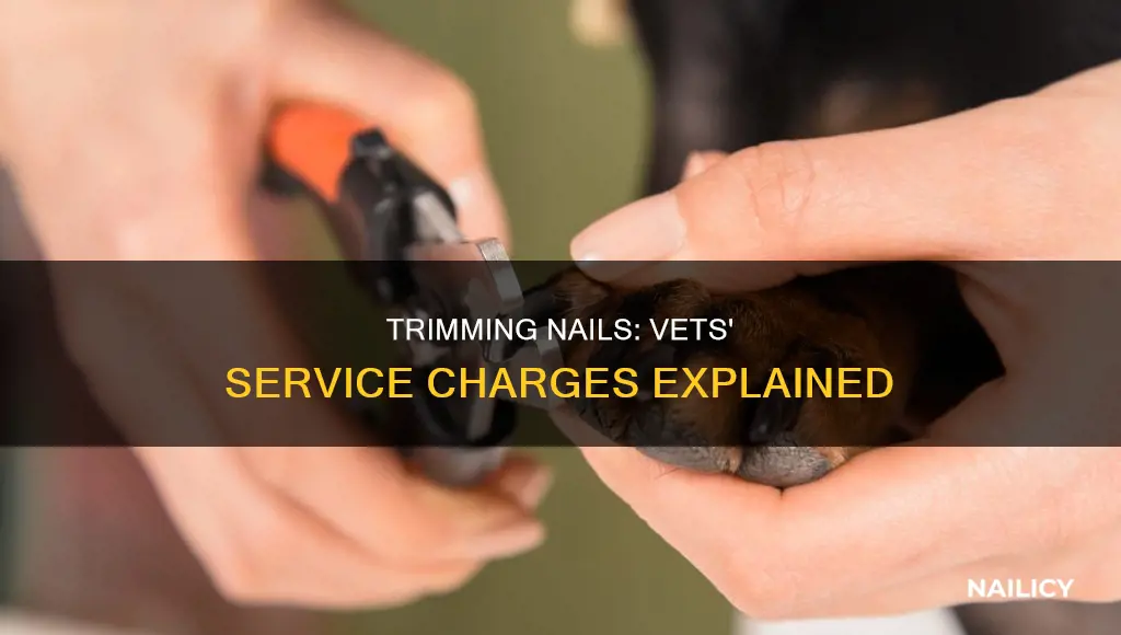 how much do vets charge to trim nails