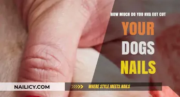 Trimming Dog Nails: How Short is Too Short?