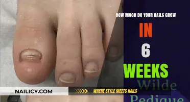Nail Growth in Six Weeks: How Long?