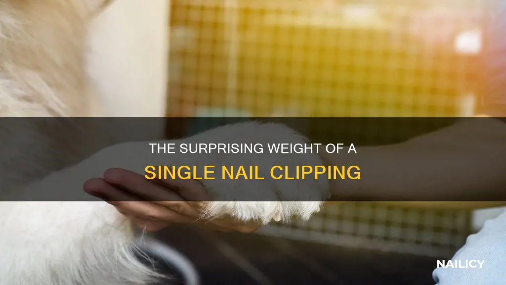 how much does a finger nail clipping weigh