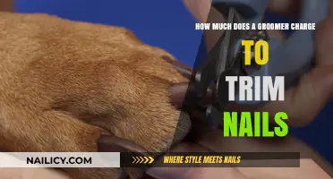 Nail Trimming: Grooming Costs and Convenience