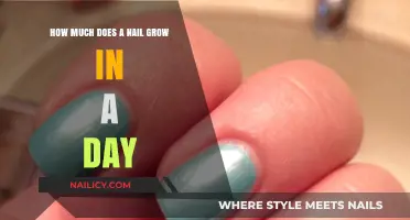 Nail Growth: How Much in 24 Hours?